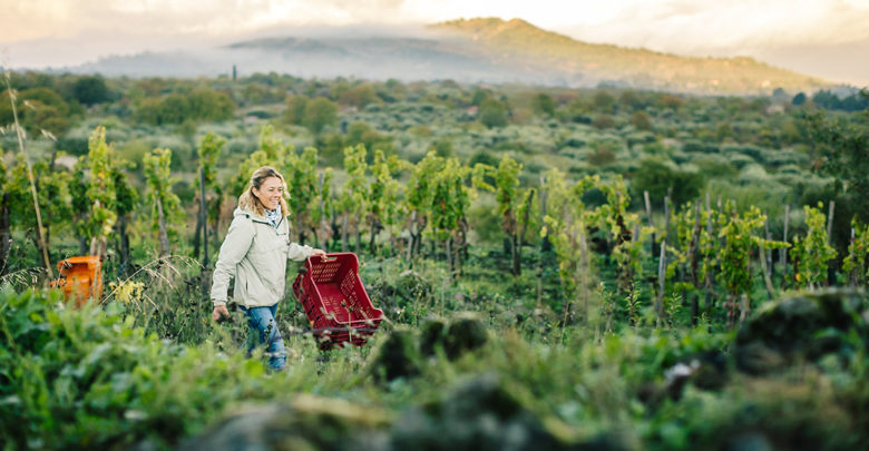 Degustazione del Vino di Anna al ristorante Ummara di Scicli